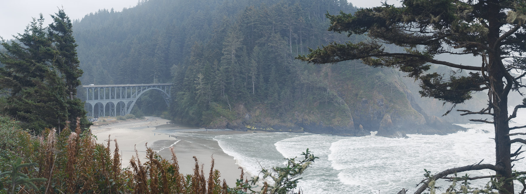 Pacific Northwest Road Trip photo titled Pacific Coast 70